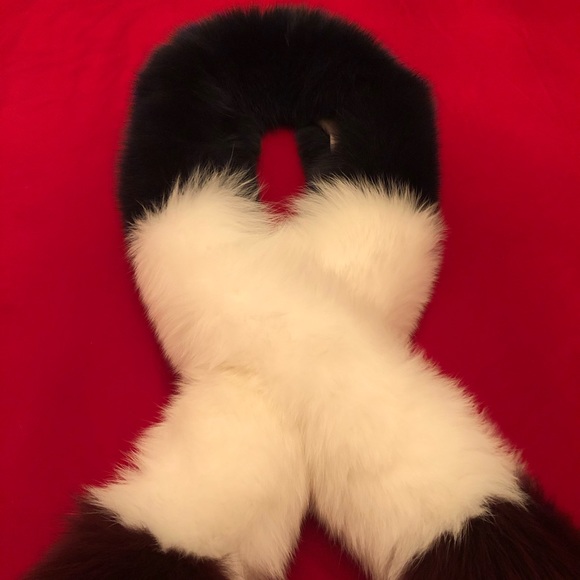 FOX - Picture 15 of 16